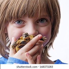 54,086 Turtle pet Images, Stock Photos & Vectors | Shutterstock