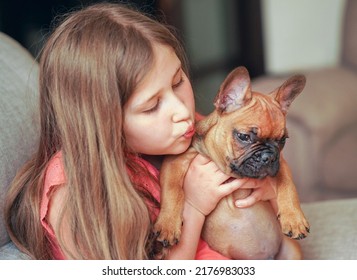  Little girl holding adorable cute little pet French bulldog puppy.                                