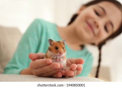 Little girl holding cute hamster at home, focus on hands - Shutterstock ID 1940850001