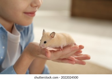 Little Girl Holding Cute Hamster At Home, Closeup