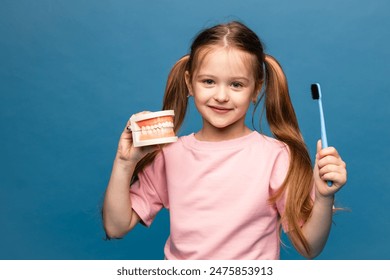 Little girl holding a model of a jaw with teeth and a toothbrush in her hands to demonstrate proper tooth brushing on blue background. Children's dentistry. Children's teeth care. Copy space - Powered by Shutterstock