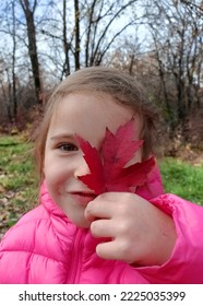 Little Girl Holding Red Maple Leaf