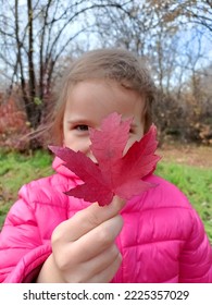 Little Girl Holding Red Maple Leaf