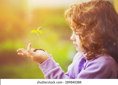 Little Girl Holding Young Plant In Spring Outdoors. Ecology Concept. Background Toning To Instagram Filter.