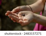 A little girl holds a small toad tadpole caught in a mountain stream in her hands. you can see her head, eyes and tail; her legs are not yet formed.