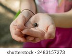 A little girl holds a small toad tadpole caught in a mountain stream in her hands. you can see her head, eyes and tail; her legs are not yet formed.