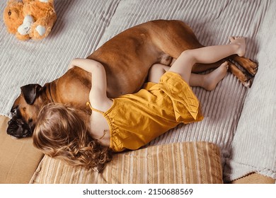 A Little Girl At Home On The Couch Plays With Her Big Dog, The Girl Hugs Her Pet Tightly