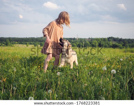 Similar – Attractive smiling blond woman with her two dogs