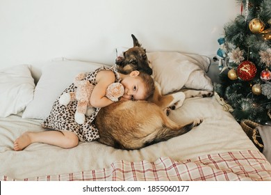 Little Girl Hugs A Big Dog At Home On The Bed. Friendship Between Man And Animal.