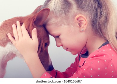 Little Girl Hugs The Dog Forehead To Forehead, Toned. Basenji Dog With Owner.