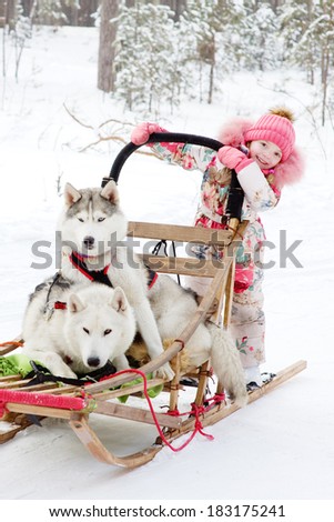 little girl and Huskies in winter forest