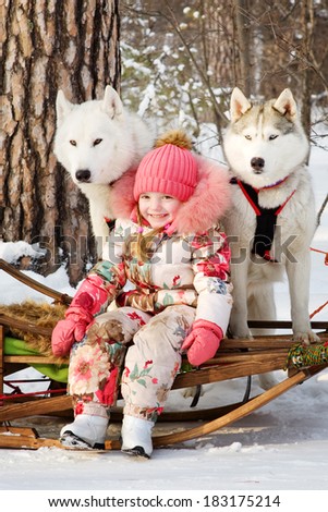 little girl with husky dogs in winter park