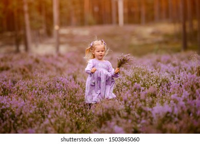 Little girl iw walking in the purple field