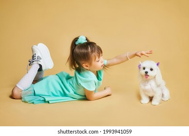 Little Girl Lies On The Floor With A Maltese Lap Dog . Photo Shoot In The Studio On A Yellow Background.