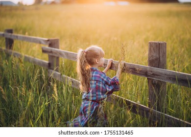 Little Girl Looking Far Away, Standing Near Wood Fence In Beautiful Field. Walk In Field During Summer Sunset. Image With Selective Focus And Toning. Image With Noise.