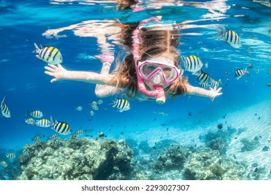 A little girl with mask and snorkel enjoys the underwater life of the tropical ocean wth colorful fishes