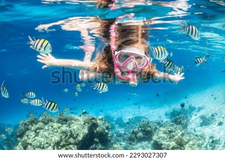 A little girl with mask and snorkel enjoys the underwater life of the tropical ocean wth colorful fishes