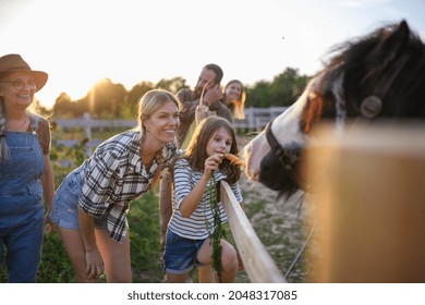 Little Girl With Mother Feeding Horse Outdoors At Community Farm.