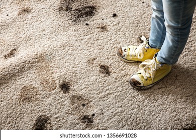 Little Girl In Muddy Shoes Messing Up Carpet At Home