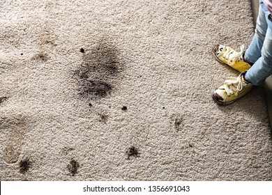 Little Girl In Muddy Shoes Messing Up Carpet At Home