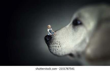 Little Girl On Dog Nose