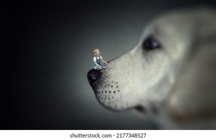 Little Girl On Dog Nose