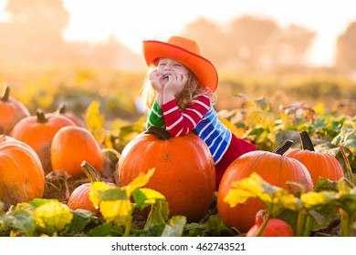 Little Girl Picking Pumpkins On Halloween Pumpkin Patch. Child Playing In Field Of Squash. Kids Pick Ripe Vegetables On A Farm In Thanksgiving Holiday Season. Family With Children Having Fun In Autumn