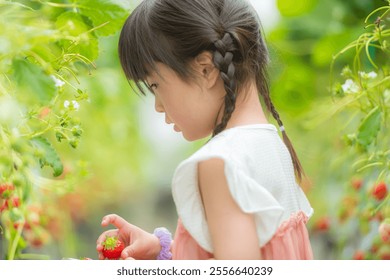 A little girl picking strawberries - Powered by Shutterstock