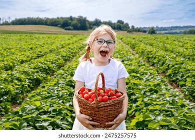 Little girl picking strawberries on a strawberry farm. Happy child with eyeglasses and ripe berries on pick a berry field. - Powered by Shutterstock