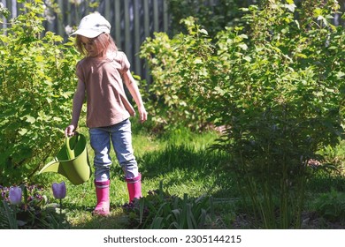 A little girl in pink rubber boots is watering flowers from a watering can in a summer garden, outdoors. The concept of gardening and teaching a child to work. - Powered by Shutterstock