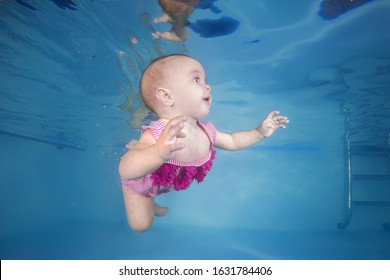 Little Girl In A Pink Swimsuit Learns To Dive Underwater In The Swimming Pool