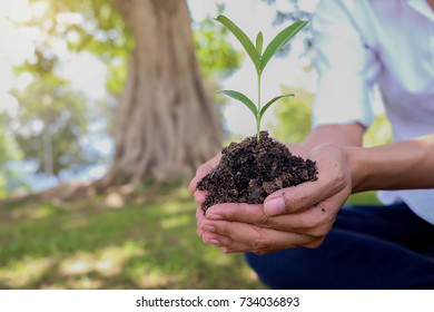 Little Girl Planting Tree In A Garden. Earthday Concept.