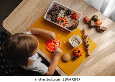 A little girl playing with autumn natural materials and play dough. Educational game for toddlers.  Montessori material. Sensory play ideas and fall nature crafts concept. 