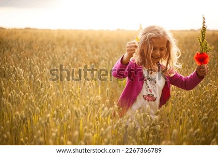 
little girl playing in the countryside in a yellow wheat field in spring