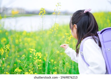 Little Girl Playing In The Flower Garden On Her Way To School