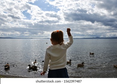 Little Girl Playing On The Lakeshore With The Ducks. She Feeds The Ducks By Throwing Food At Them. Childhood Concept. Life Outdoors Concept.