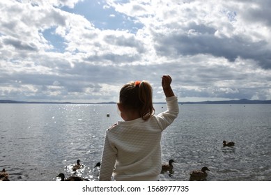 Little Girl Playing On The Lakeshore With The Ducks. She Feeds The Ducks By Throwing Food At Them. Childhood Concept. Life Outdoors Concept.