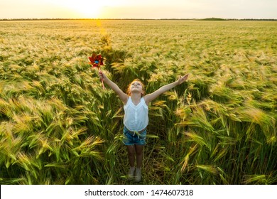 Little Girl Playing On The Meadow On Sun With Windmill In Her Hands. Child Holding Wind Toy On Wheat Field.