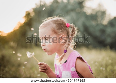 Similar – Image, Stock Photo Daisies in a small white vase on a stone border