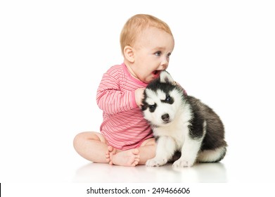 Little Girl Playing With A Puppy Husky, Isolated On White