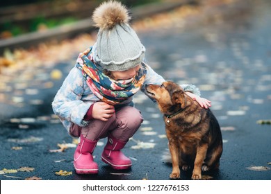 Kleines Mädchen spielt mit einem streunenden Hund. kaltes Herbstwetter
