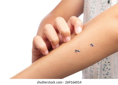 Little Girl Scratching With Mosquito Bite On Her Arm