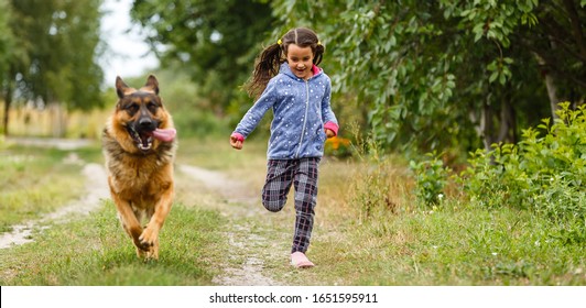 Child German Shepherd Images Stock Photos Vectors Shutterstock