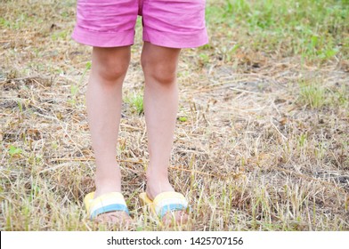 Little Girl Flip Flops Images, Stock 