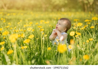 A Little Girl Sits In A Field Of Yellow Dandelions In The Sun And Looks Up To The Side. The Cute Kid Stuck His Fingers In His Mouth. Baby Care. Licking Dirty Hands Is Dangerous For Your Health.