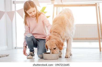 Little Girl Sitting On The Floor And Looking How Golden Retriever Dog Eating