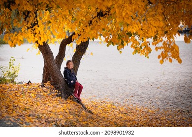 Little Girl Sitting Under Tree. Child Sits Alone At Root Of Tree In Autumn Forest And Looks At Yellow Leaves That Have Fallen From Trees.