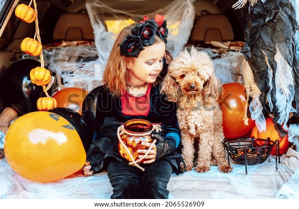 little girl in spooky costume and hat with\
bucket of sweets and cute poodle dog in ghost costume sits in trunk\
car decorated for Halloween with web, orange balloons and pumpkins,\
outdoor creative