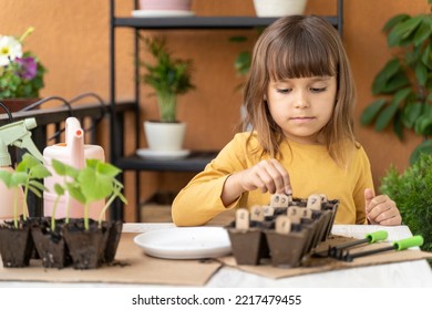 Little Girl Spring Planting Seeds. Child Arranges The Numbers In Order To Mark The Planted Seedlings. Home Gardening With Kids On The Balcony. Montessori Method. Homeschooling, Botany