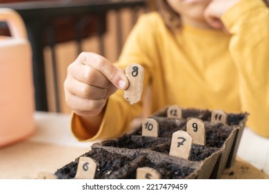 Little Girl Spring Planting Seeds. Child Arranges The Numbers In Order To Mark The Planted Seedlings. Home Gardening With Kids On The Balcony. Montessori Method. Homeschooling, Botany